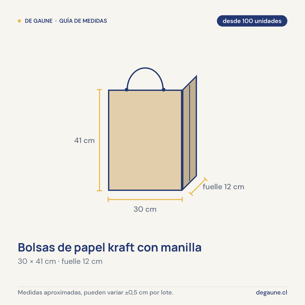 Guía de medidas: Bolsas de papel kraft con manilla | 30x12x41 | 100 unidades