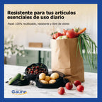 Bolsas de papel kraft con manilla | 22x25 | 100 unidades